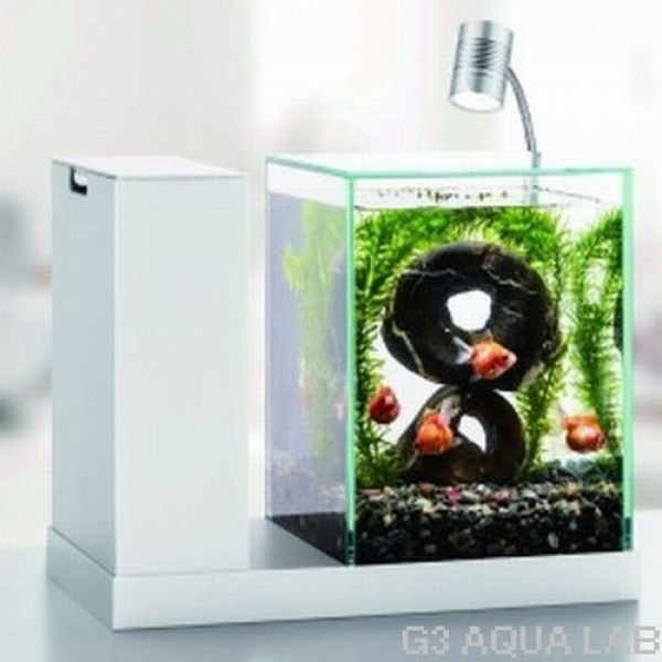 小型水槽 オールインワン水槽 オーバーフロー 水槽関連 一体型 背面濾過水槽 Gex Aqua U オールインワン水槽 アクアリウムの通販 販売はg3 Aqua Labまで