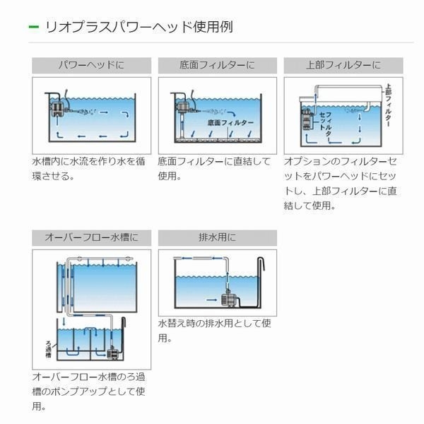 ߥϥRio+ 1700 60Hz[4971664940192]