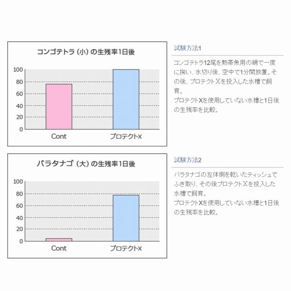 硼󡡥ץƥX500ml[4971618934031]