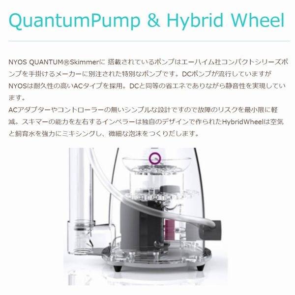 ڼ󤻡ZEST NYOS QUANTUM 12060Hz