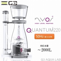 ڼ󤻡ZEST NYOS QUANTUM 22050Hz