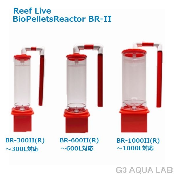 ڼ󤻡Reef LiveBR2-300֡Хڥåȥꥢ