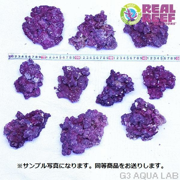 ͹饤֥å Real Reef Rock SM 5kg