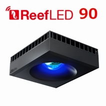 åɥ ꡼LED ReefLED90[7290100770719]