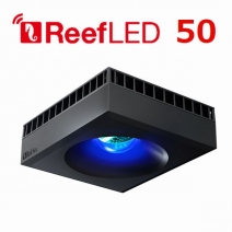 åɥ ꡼LED ReefLED50[7290100770702]