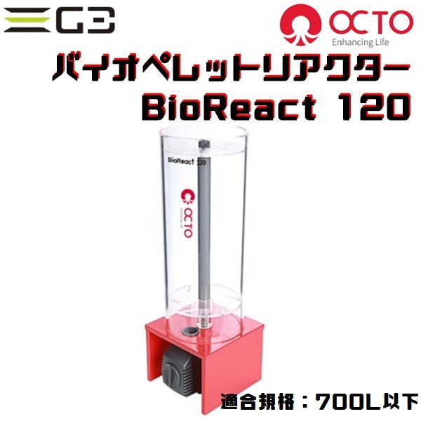 ڼ󤻡OCTO Bio React120Хڥåȥꥢ