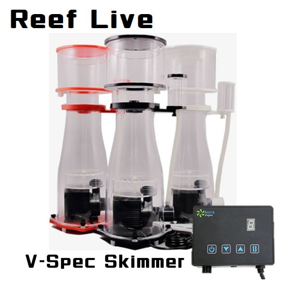 ڼ󤻡Reef Live V-Spec 300 //