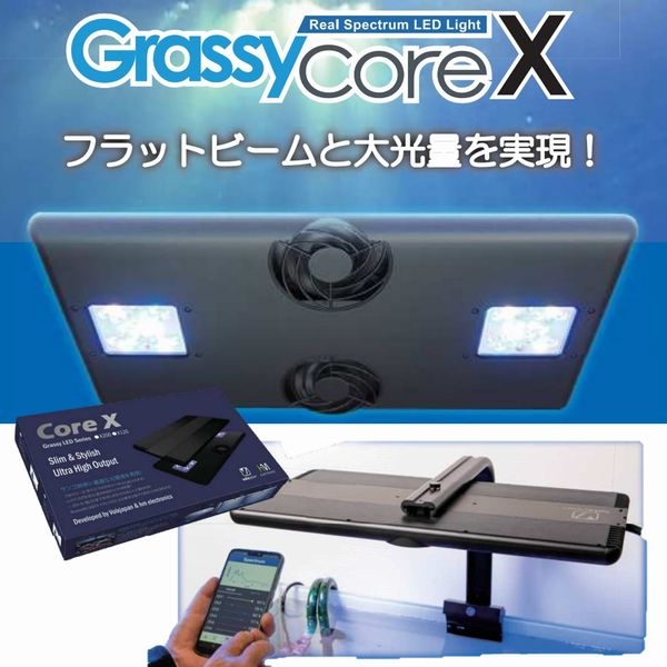 Grassy Core X 120 Reef/꡼ (LPS model)ߤ겼磻䡼å