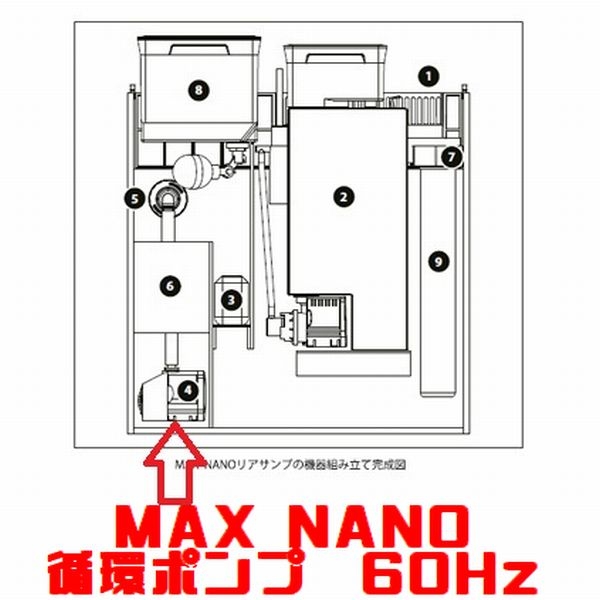 ڼ󤻡MAX NANO ۴ĥݥ 60Hz[1831140]