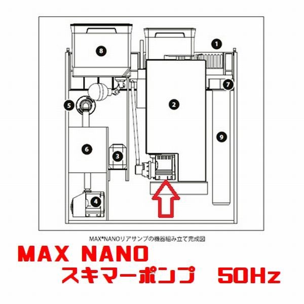 ڼ󤻡MAX NANO ޡݥ 50Hz [1831151]