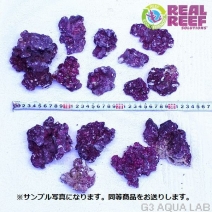 ͹饤֥å Real Reef Rock Nano 2kg