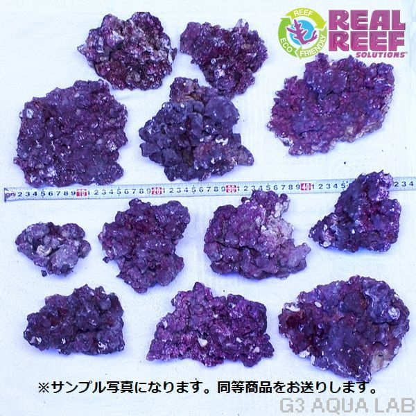 ͹饤֥å Real Reef Rock S&M 7kg