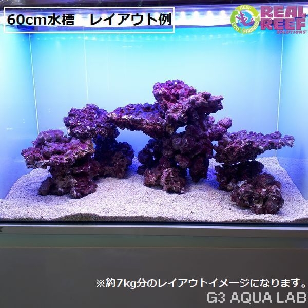 ͹饤֥å Real Reef Rock S&M 7kg