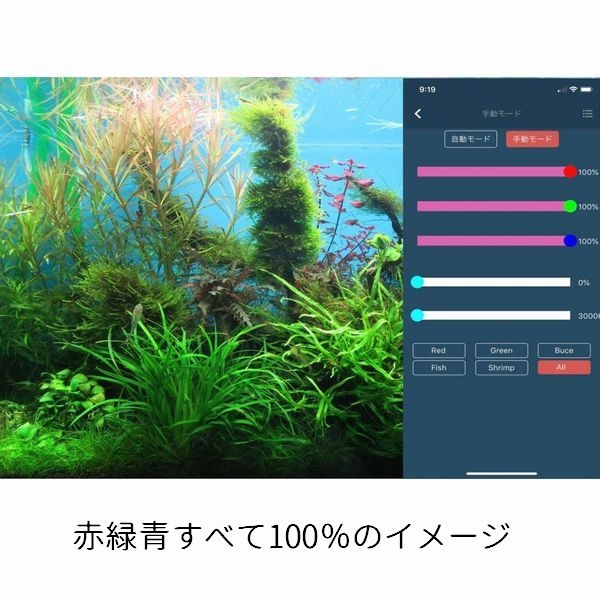 ڼ󤻡Chihiros Aquatic Studio WRGB30[4533760535018]