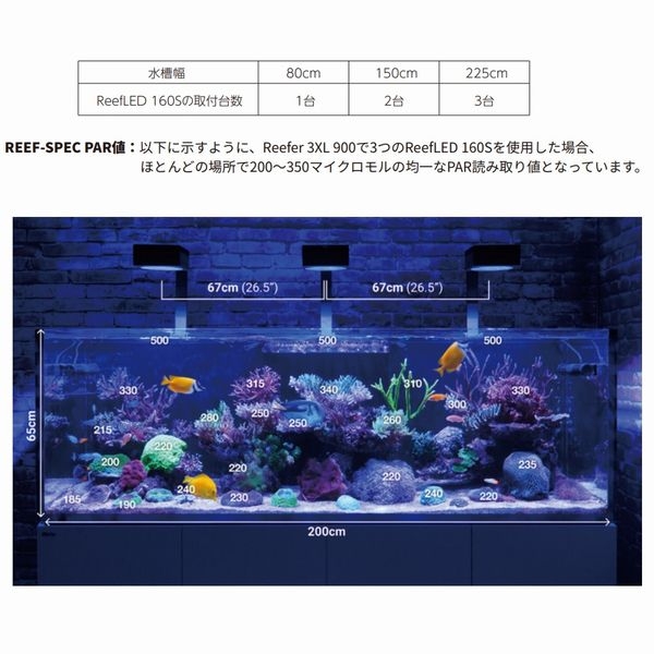 åɥ ꡼LED ReefLED160S[7290100770153]