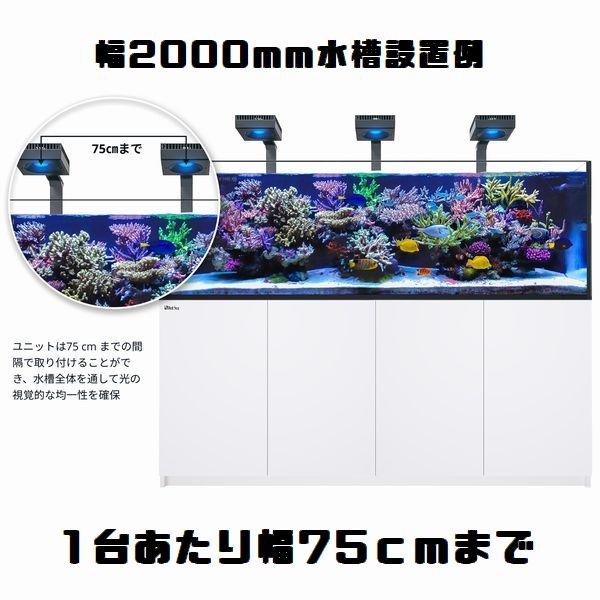 åɥ ꡼LED ReefLED160Sޥȥॻå