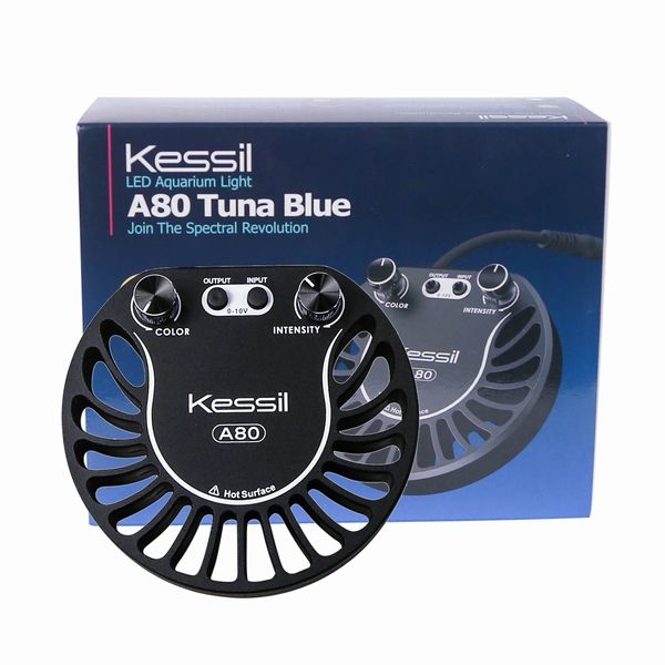 ڼ󤻡kessil A80 TunaBlue + ߥ˥ͥåå